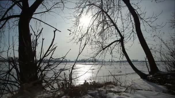 Glace sur la rivière en hiver — Video