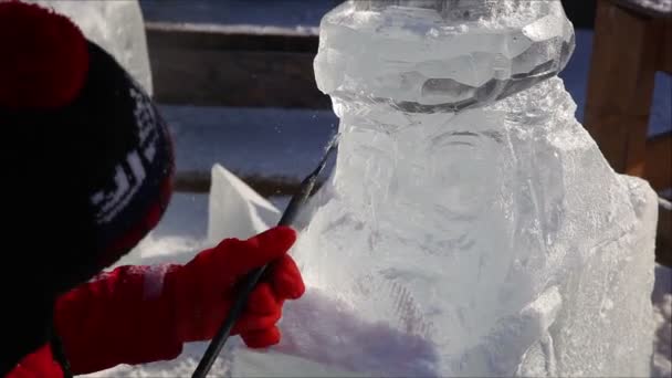 Esculturas hechas de hielo — Vídeo de stock