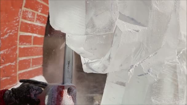 Sculptures en glace — Video