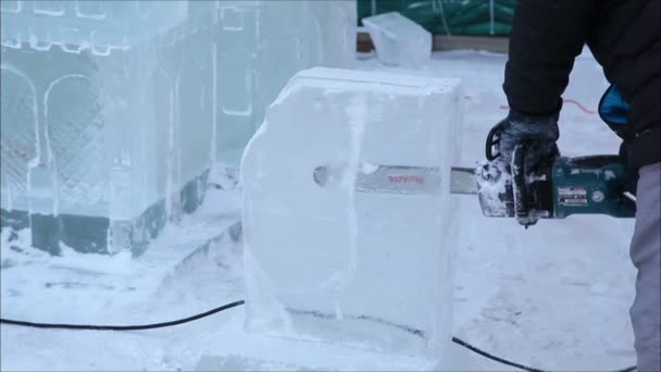 Esculturas hechas de hielo — Vídeo de stock