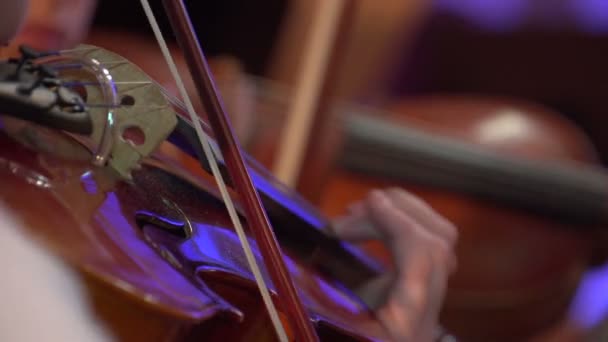 여성 바이올린 연주 — 비디오