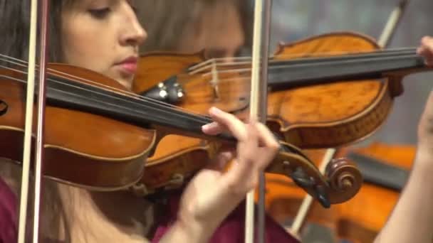 Mujeres tocando violines — Vídeos de Stock