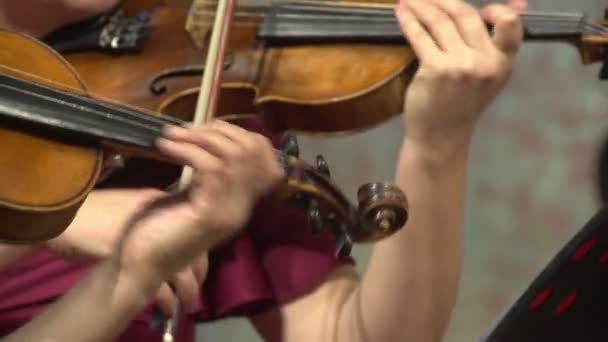 Kvinnor spelar violiner — Stockvideo