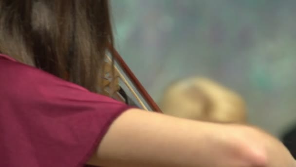 Frauen spielen Geigen — Stockvideo