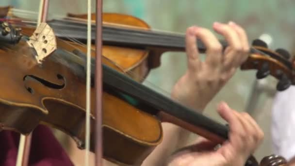 Mulheres a tocar violino — Vídeo de Stock