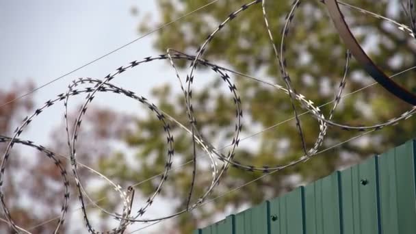 fil barbelé sur le mur 