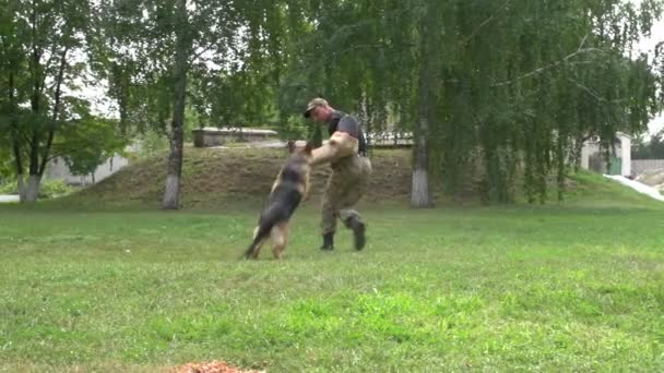 Militärkynologen bilden Schäferhund aus — Stockvideo
