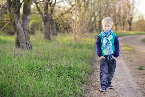 Blonder Junge von fünf Jahren in Schal und Pullover zu Fuß auf dem Land — Stockfoto