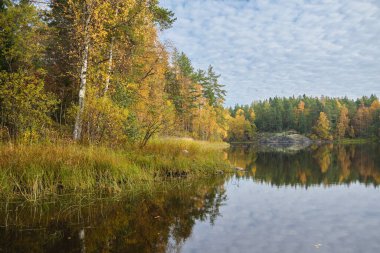 Ladoga skerries, Karelia 'nın doğal cazibesi. Rusya 'da seyahat. Kuzey doğası.