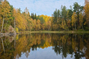 Ladoga skerries. Rusya 'nın kuzey doğasının güzelliği. Ladoga Gölü 'nün sessiz yüzeyi.