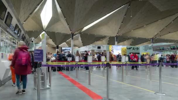Petersburg International Airport Pulkovo Time Lapse Passenger Check Counters Travel — Stock Video