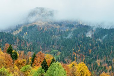 Rusya Adıge dağ tepe