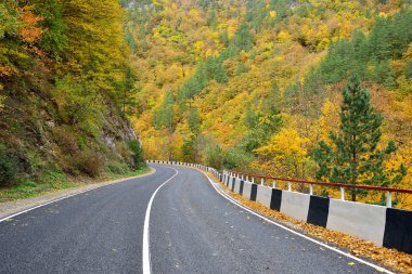 Dağlarda sonbahar yolu
