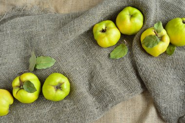 Sivas'tan üzerinde olgun Ayva