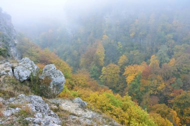 kayalık uçurum ve sonbahar sisli orman