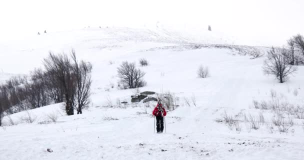 Freeride σκιέρ ανηφορίζει προς βόλτα — Αρχείο Βίντεο