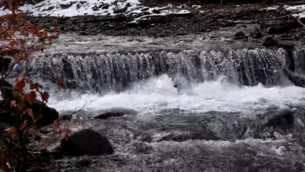 Gebirgsfluss Wasserfall im Frühlingswald. — Stockvideo