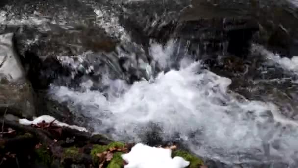 Berg rivier waterval in voorjaar Forest. — Stockvideo