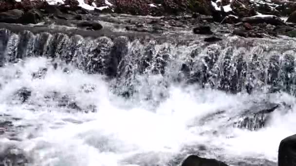 Mooie sluier trapsgewijze watervallen, Winter Forest Stream — Stockvideo
