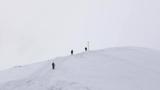 Freeride Skiers vai subir para cavalgar da montanha — Vídeo de Stock