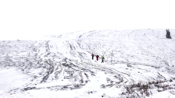 Freeride Skiers Goes Uphill to Ride — Stock Video