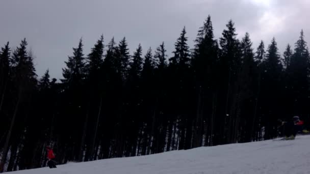 Лыжники идут по склону горы вниз рядом с Фирс — стоковое видео