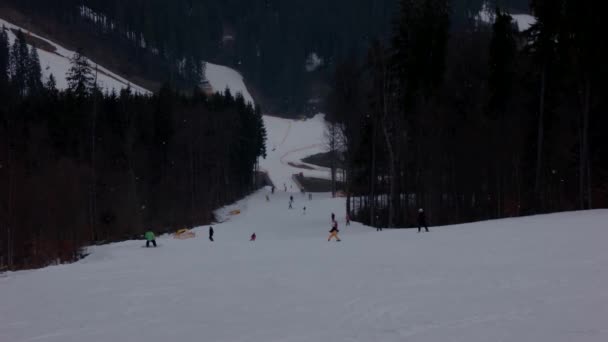 Lyžaři jít na horském svahu dolů poblíž jedlí — Stock video