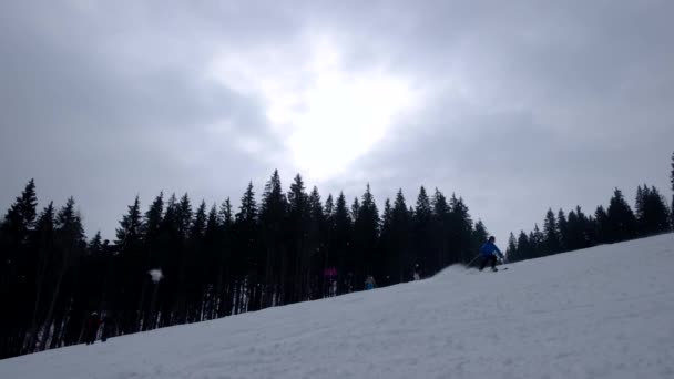 Skidåkare åka på berget sluttar nedåt nära granar — Stockvideo