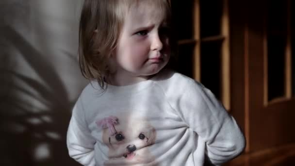 Kleines Mädchen spielt mit einem Keks, den es nicht teilen wollte — Stockvideo