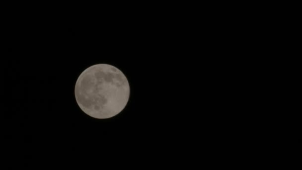 Video del lapso de tiempo de una luna llena viajando a través del cielo — Vídeos de Stock