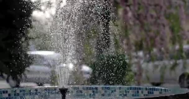 Malé město fontána na ulici kvetoucí Sakura — Stock video