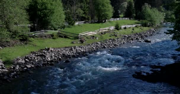 Día soleado y río de montaña pura — Vídeo de stock