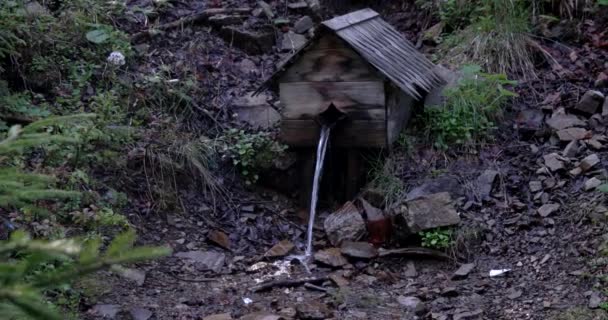 Natuurlijke zuivere bronwater uit de bos-bron — Stockvideo