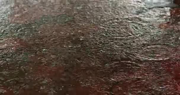 Капли дождя падают в лужу, создавая водяные струи — стоковое видео