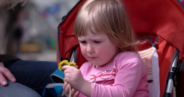 Una linda niña en un cochecito comiendo una manzana — Vídeo de stock