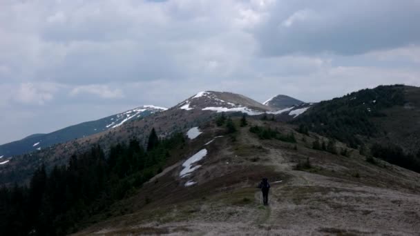 Carpathians 산에 하이킹의 Steadicam 탄 — 비디오