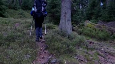 Üzerinde bir iz ormanlık dağlar (Pov) Steadicam çekimde hiking