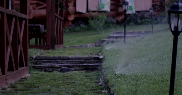 Jardim irrigação aspersor rega gramado e flores — Vídeo de Stock