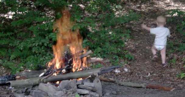 Giovane madre a piedi con il suo bambino nella foresta. Falò nella foresta . — Video Stock