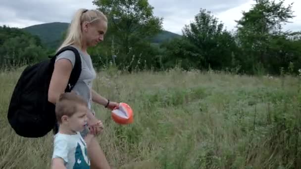 Heureuse jeune mère avec son fils marchant sur le champ d'été . — Video