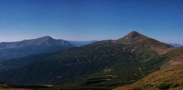Ukraynalı Karpatlar, Milli Parkı Chornogora. Güneşli bir gün. Yaz aylarında trekking. Petros ve Hoverla.