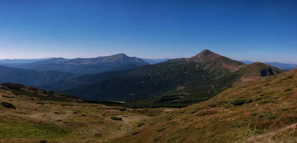 Ukraynalı Karpatlar, Milli Parkı Chornogora. Güneşli bir gün. Yaz aylarında trekking. Petros ve Hoverla.