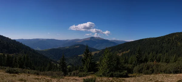 Panoramik Dağları'nın muhteşem bir defne ışık - Svydovets aralığı, Karpatlar, Batı Ukrayna