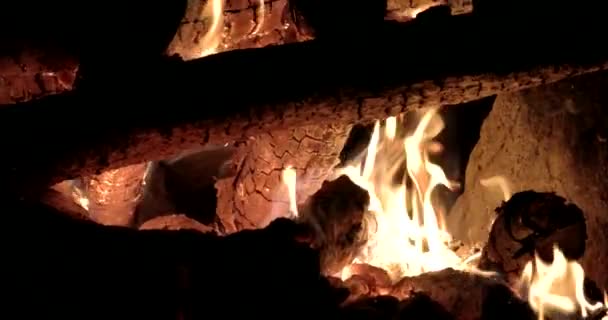 夜のたき火燃焼の木。鮮やかな燃焼たき火, 熱, 光, キャンプ, クローズ アップ — ストック動画