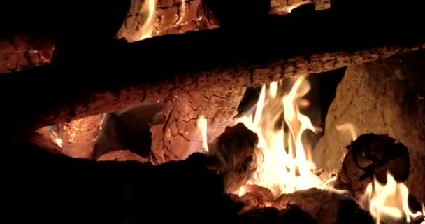 Feuer brennt Bäume in der Nacht. Lagerfeuer brennt hell, Hitze, Licht, Zelten, Nahaufnahme — Stockvideo