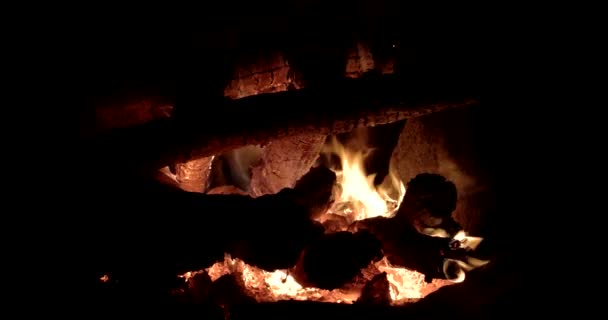 Brasa brinnande träd på natten. Brasan brinner ljust, värme, ljus, camping, närbild — Stockvideo