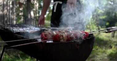 Et, sebze ve tavuk Barbekü, kömüre ızgara