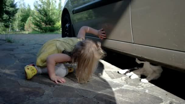 Linda niña jugar con un gato debajo del coche. Niños y mascotas — Vídeo de stock