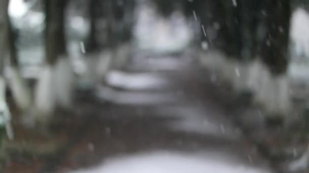 Снежинки медленно падают зимой Full HD — стоковое видео