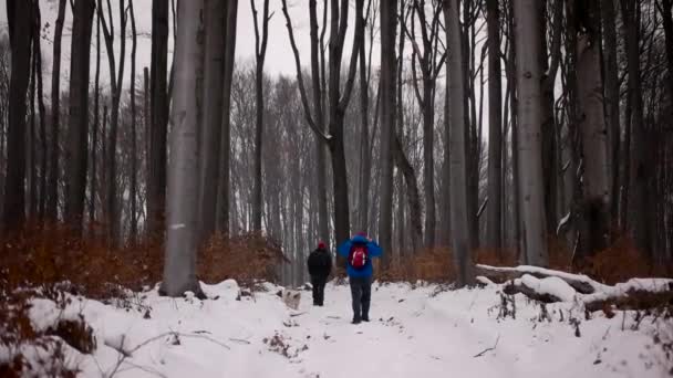 Två vandrare gå ut med hunden i en vinter snöig skog — Stockvideo